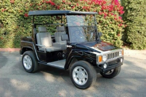 affordable golf cart rental, golf cart rent santa barbara, cart rental santa barbara